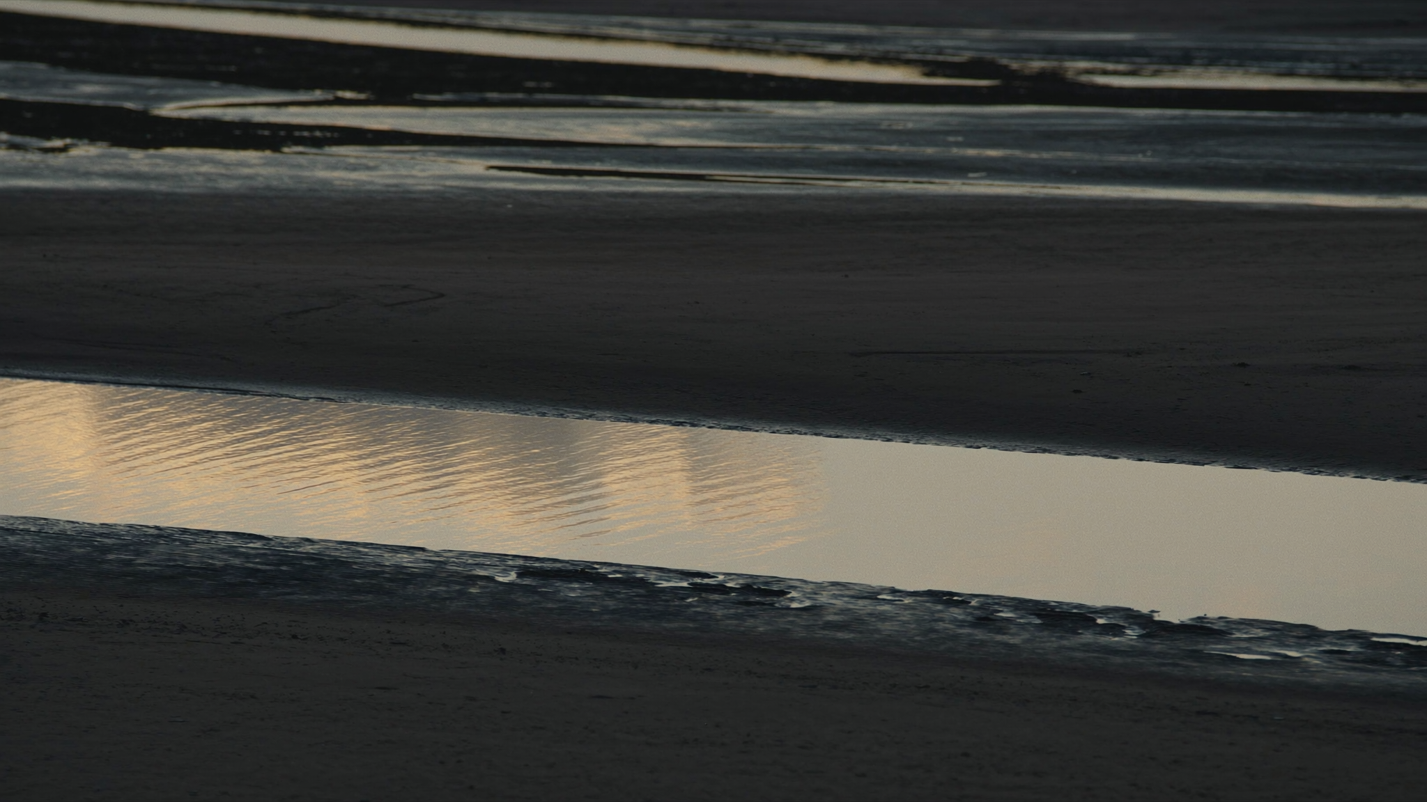 Tidal channels in wet sand at dawn