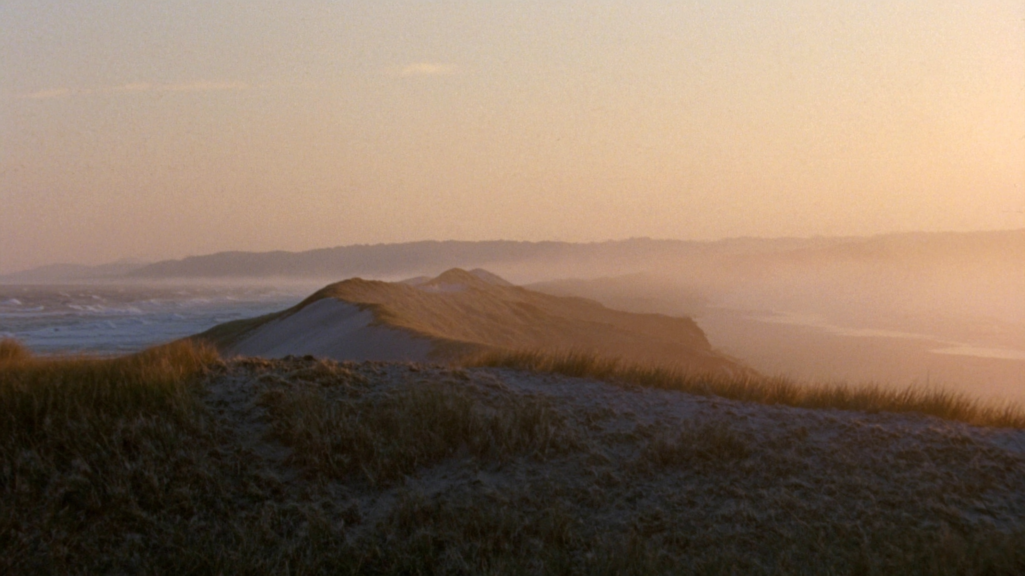 Morning mist over coastal dunes and grasses