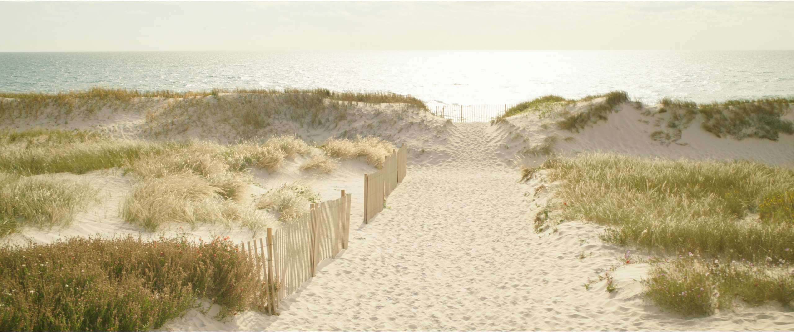 Sandy path winding through coastal dunes at dawn
